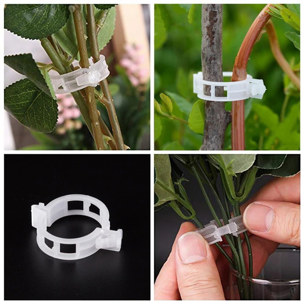 PlantSupport-Clips | Verbessern Sie Ihr Gartenerlebnis 