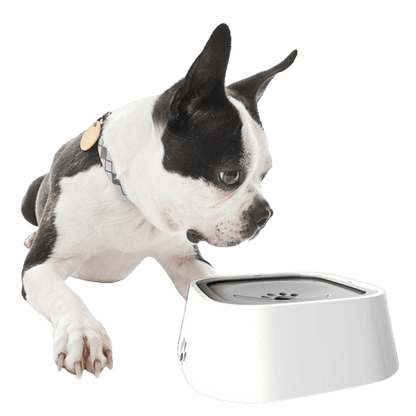 Water Bowl PRO™ | Nooit meer geknoei van je huisdier - campor.nl