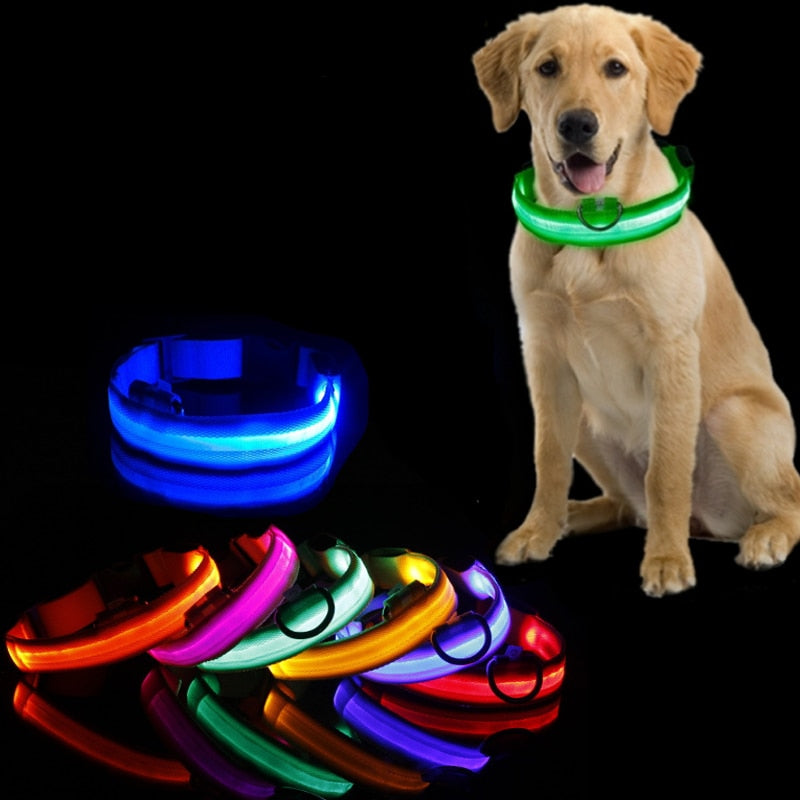 BrightPaws | LED Hondenhalsband Licht