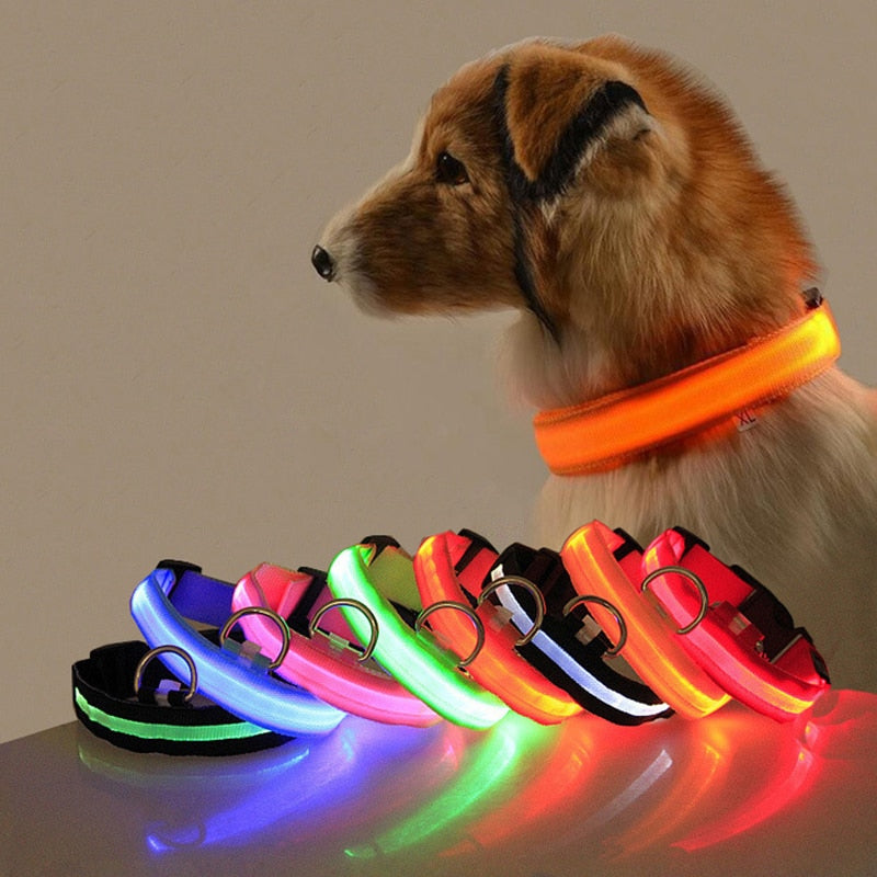 BrightPaws | LED Hondenhalsband Licht