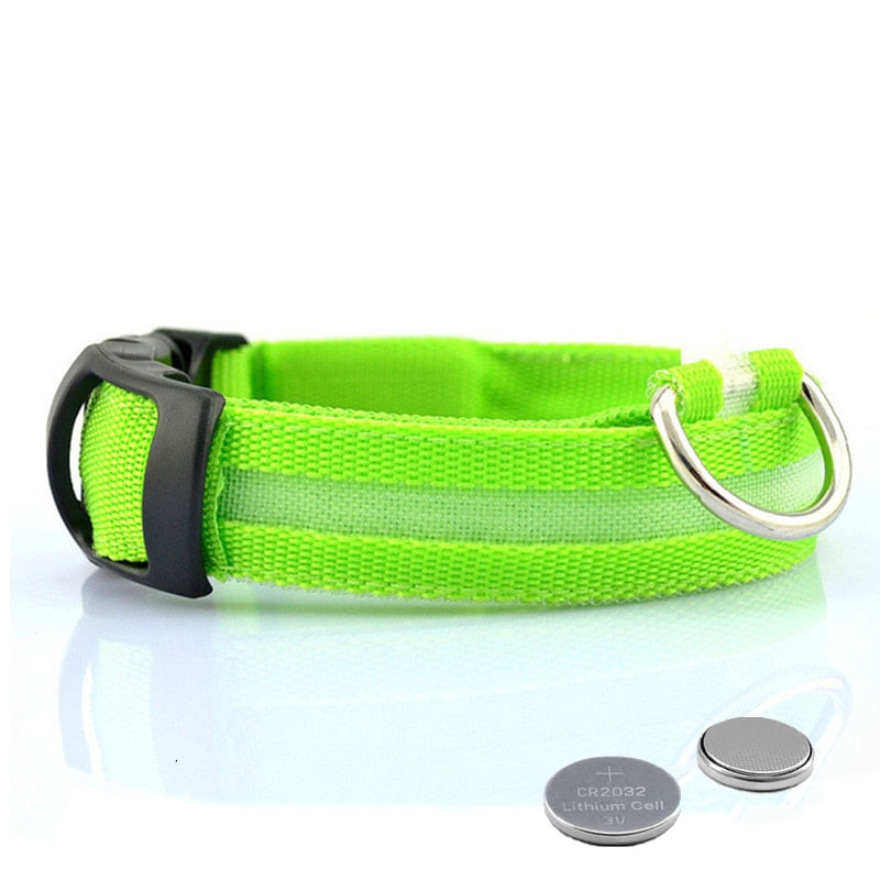 BrightPaws | LED Hondenhalsband Licht