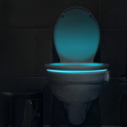 LED-Toilettenlicht | Intelligentes und praktisches Nachtlicht für Ihr Badezimmer