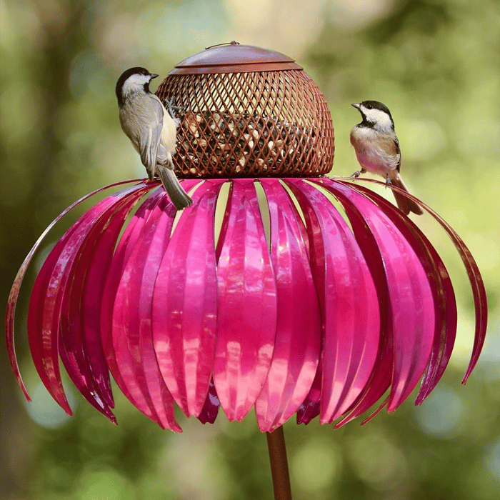 Bloem Vogel Feeder