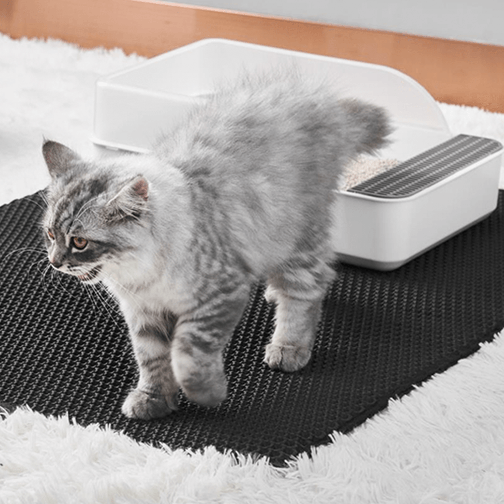 Cat Dirt Mat PRO™ | Nooit meer viezigheid van de kat! - campor.nl