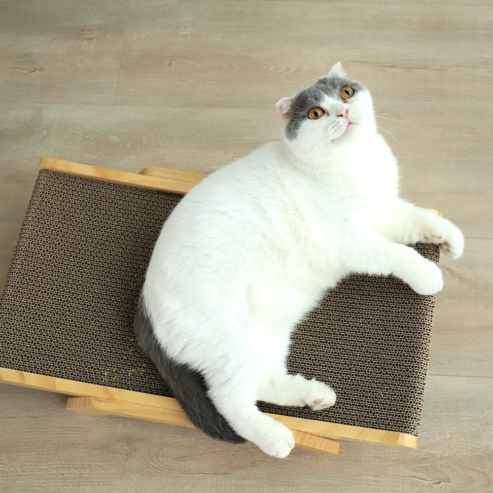 Zen Kattenkrab Bed™ | Nu met gratis verzending! - campor.nl